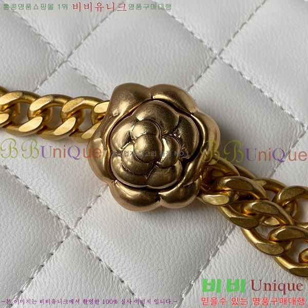 #���� ī�Ḯ�� ��庼 ü�� ���簢 ����Ƽ �� AP3301-536