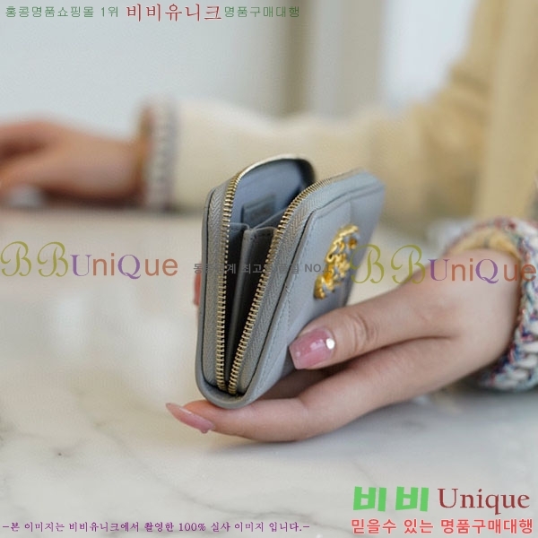 #���� Ŭ���� ���� ī������ A800331-2