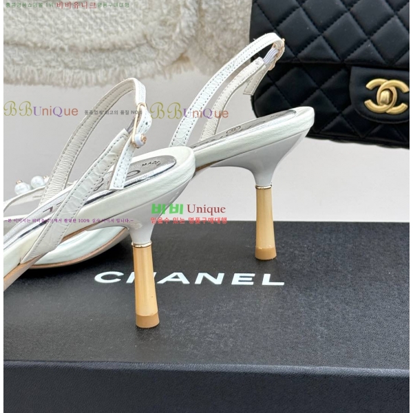 ���� ������ ���� 36CH253317-1