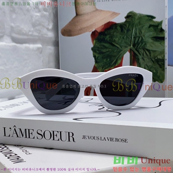 ����� ���۶� P2819066-1