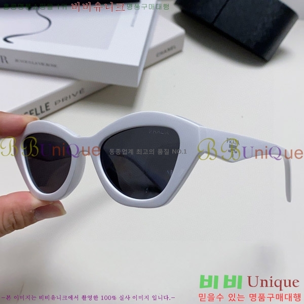 ����� ���۶� P2819066-1