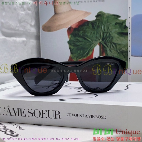 ����� ���۶� P2819066-3