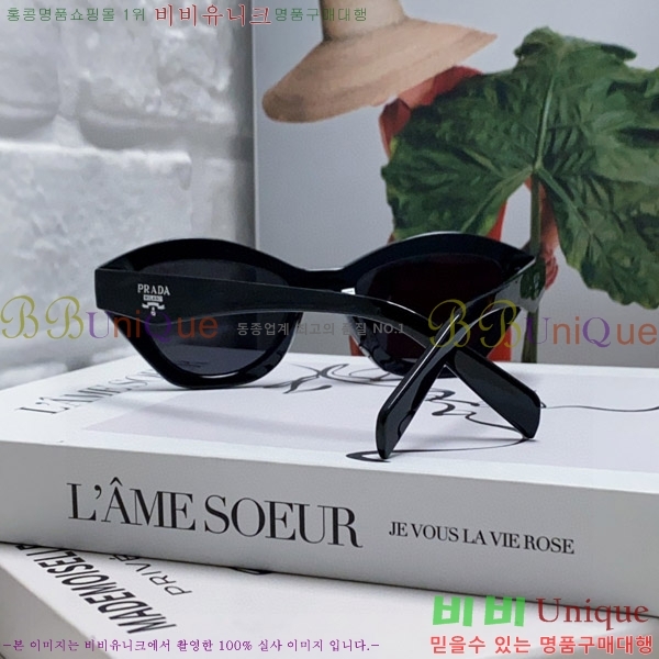 ����� ���۶� P2819066-3