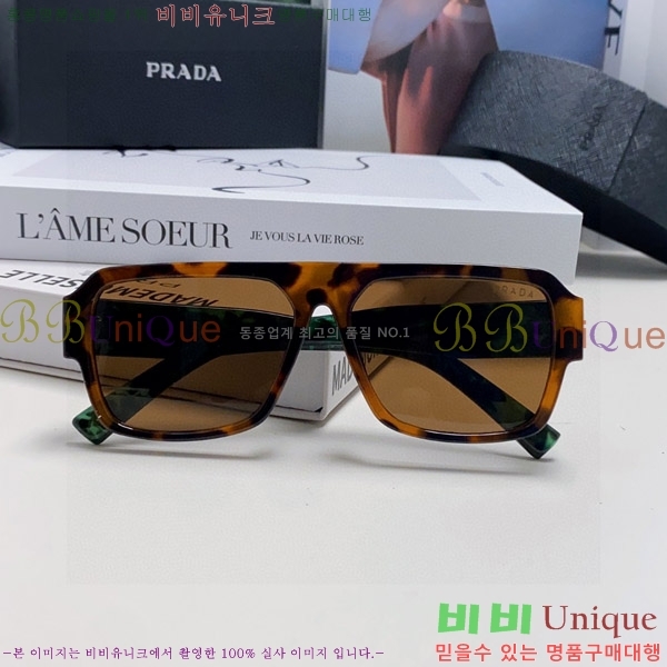 ����� ���۶� P2819062-3