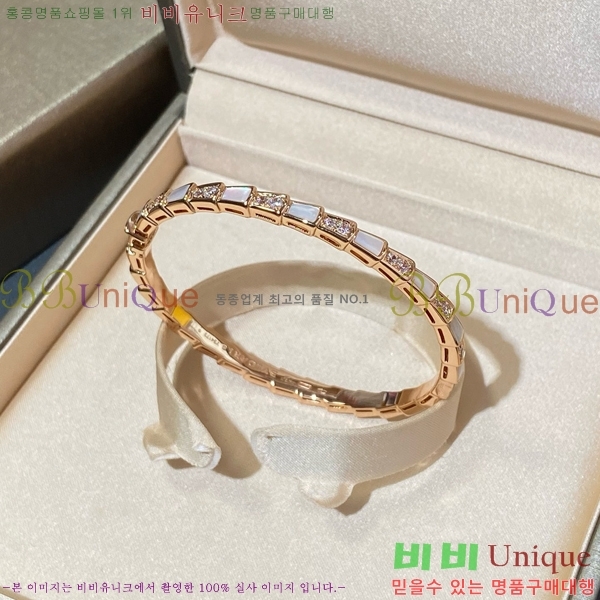 ���� �Ұ��� ���� BV1111244-1