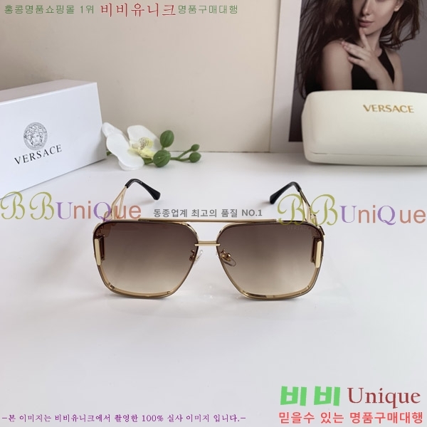 ������ü ���۶� VE102299-1