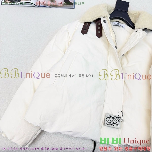 ���� �ο��� �ٿ� �е� LOEWE231230-3