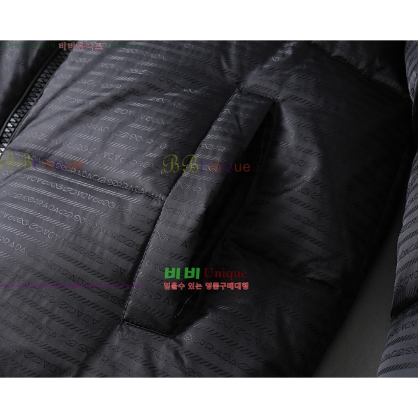 ���� ����� �ٿ� �е� PA253648