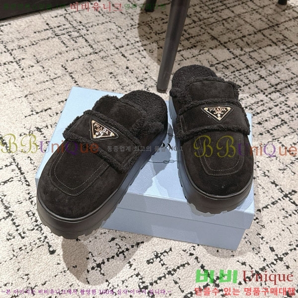 ���� ����� �� ������ P5560221-3