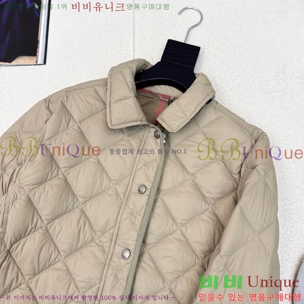 ���� ������ �ٿ� �е� BU23878-2