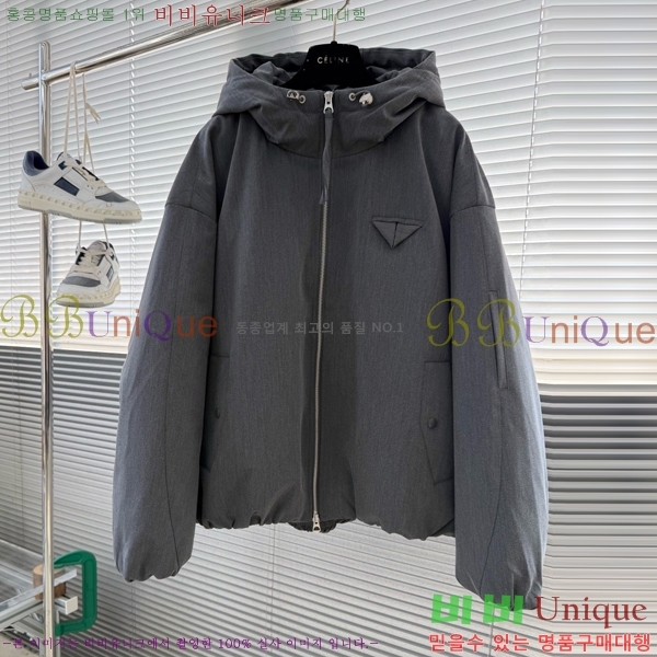 ���� ���װ�����Ÿ �淮 �е� BV242879