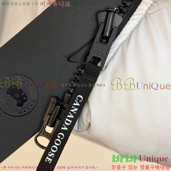 ���� ĳ���ٱ��� �ٿ� �е� CAG157494-2