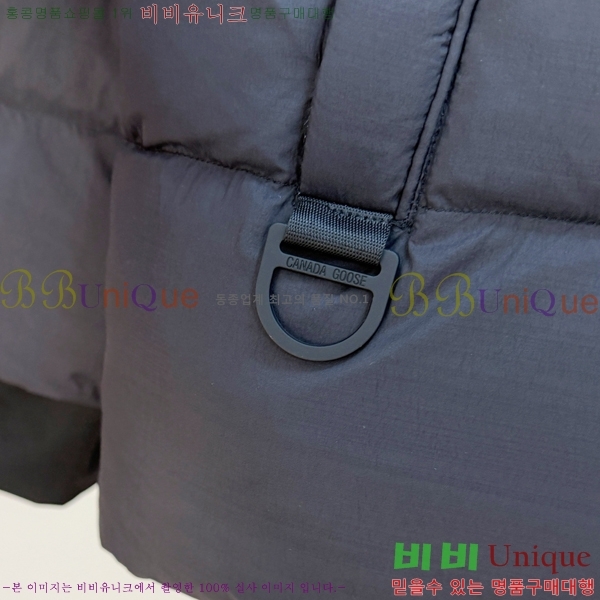 �������� ĳ���ٱ��� �ٿ� �е� CAG215558-2